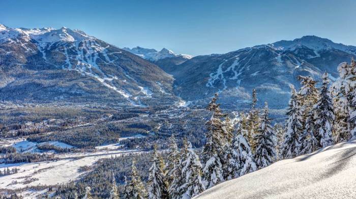 Whistler blackcomb skiing resorts vertical stoney vacations creek freeskier pcdn snowbrains