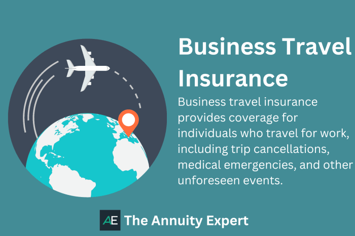 Insurance travel why need do international important