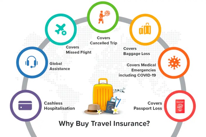 Insurance travel business